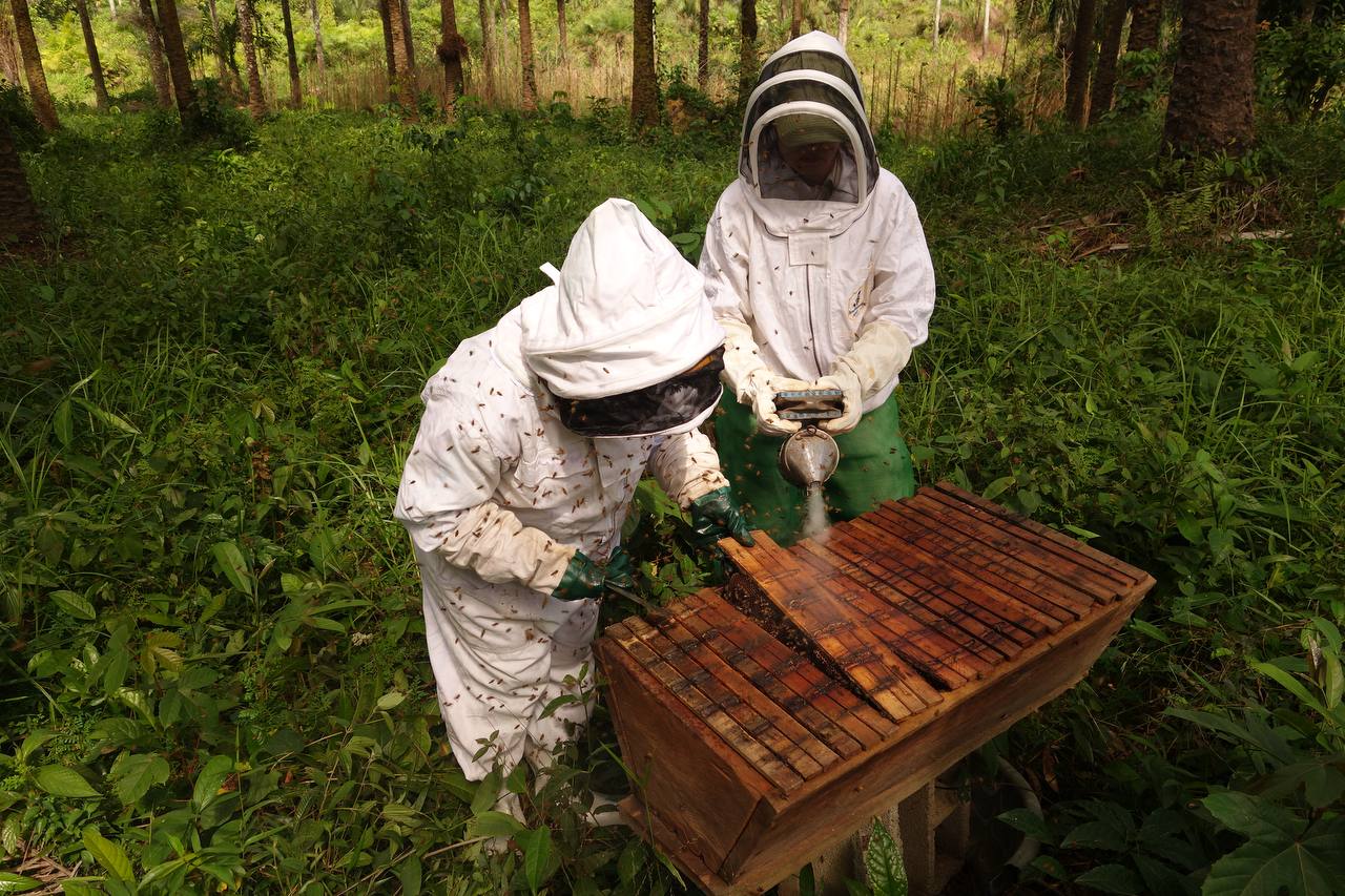 Landis and Etta working a beehive